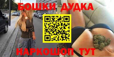 СК Дубна
