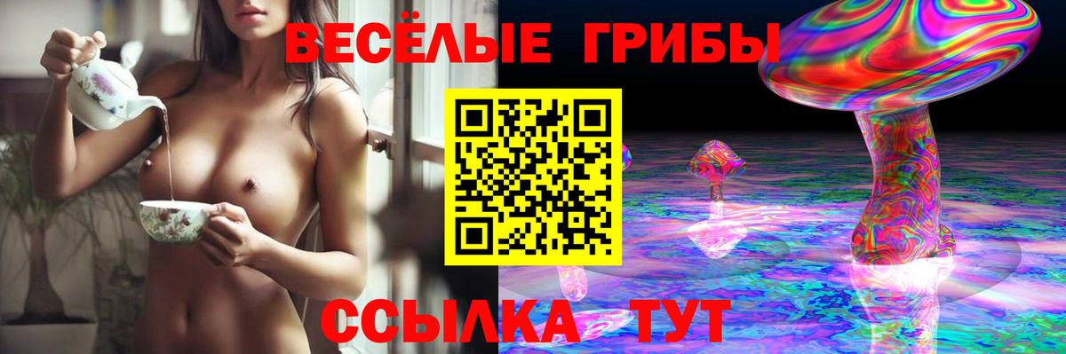 Псилоцибиновые грибы Magic Shrooms Лабинск